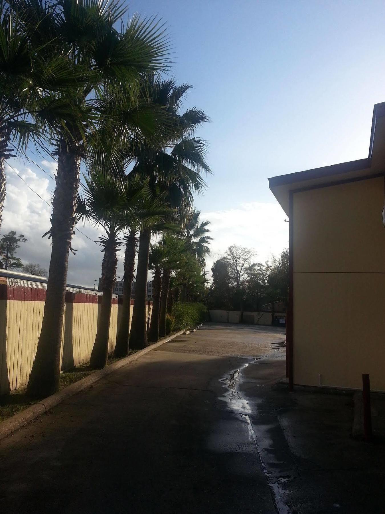 Southmore Motel Houston Eksteriør bilde