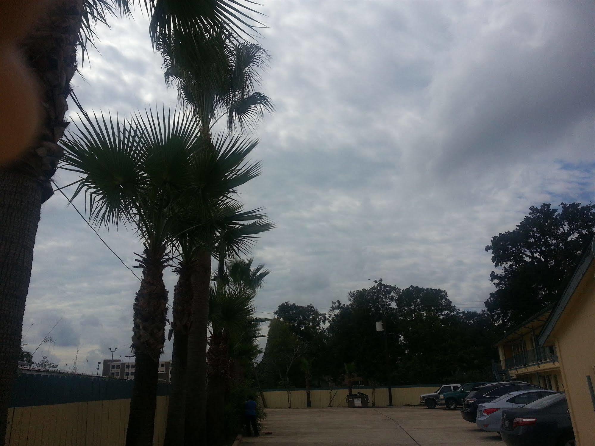 Southmore Motel Houston Eksteriør bilde